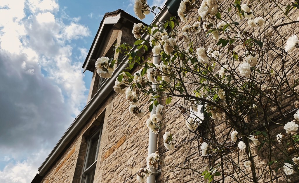 Alleyways & Cottages: Part I of Our Time in the&nbsp;Cotswolds