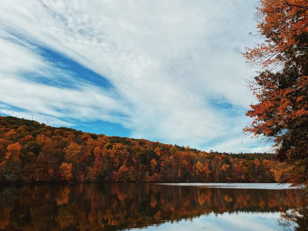 An Autumn Bucket List&nbsp;Check-In